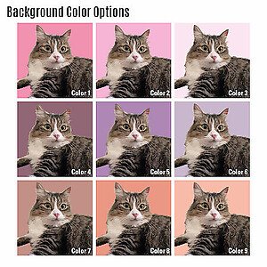 Custom Illustration Pet Portrait Square Canvas Print