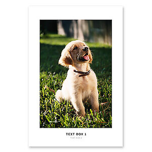 The Photo Poster Print